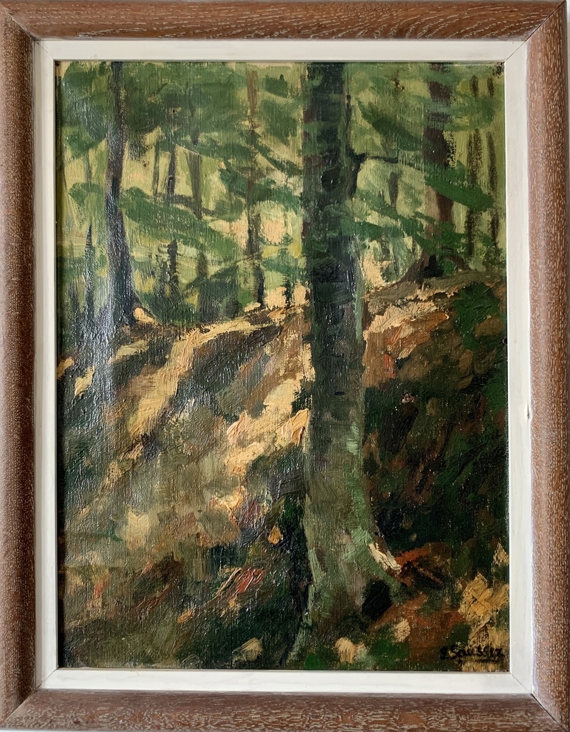 Sunlit Forest Path