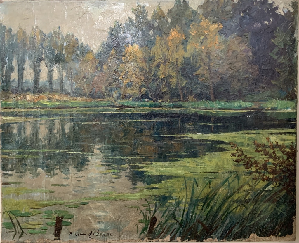 Serene Woodland Pond