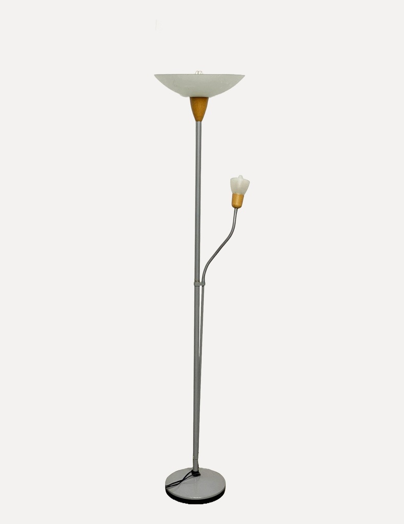 Modern Dual-Function Floor Lamp