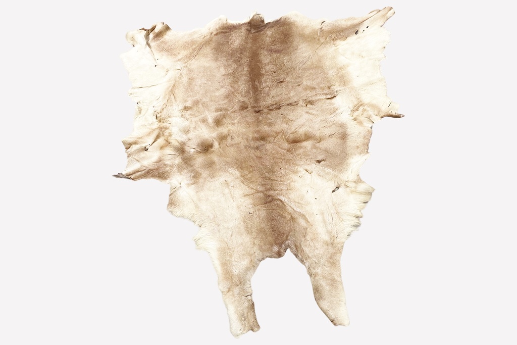 A009