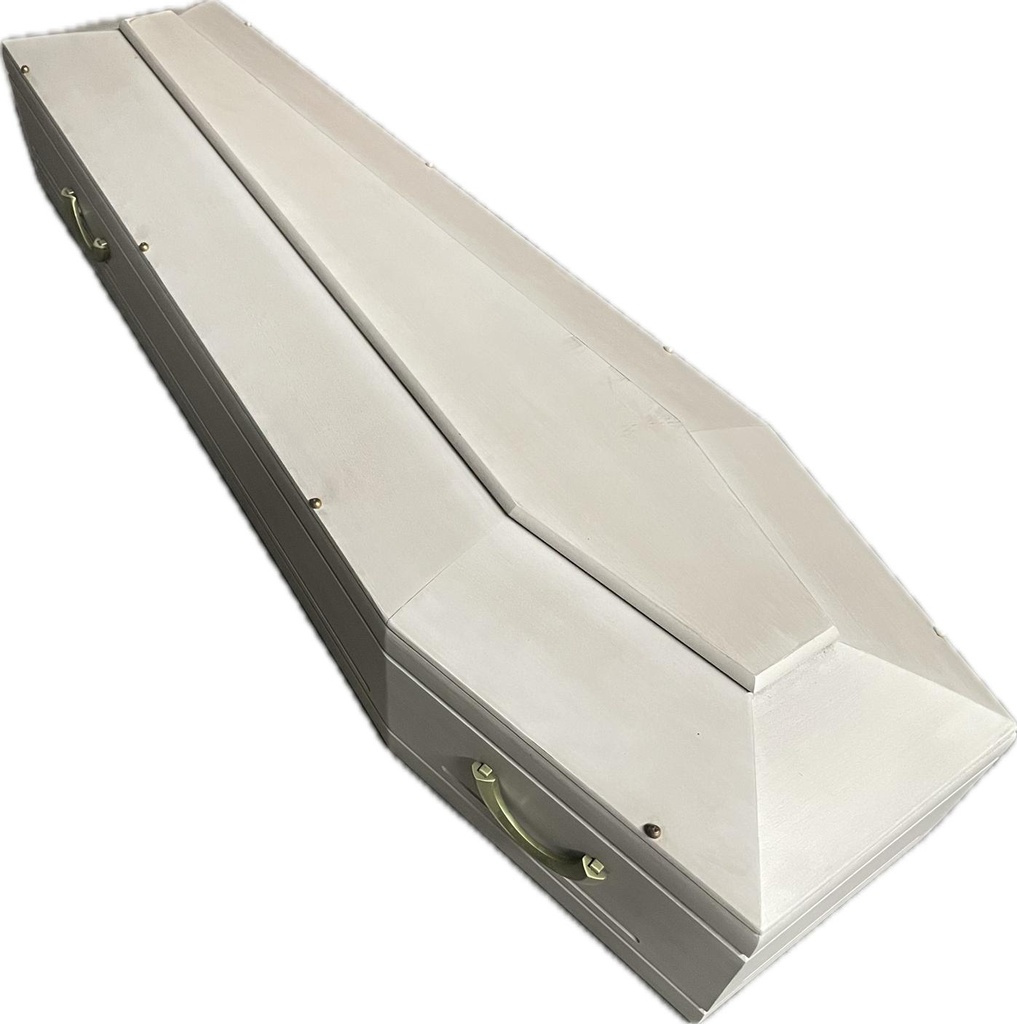 Pale Wooden Coffin Case with Brass Handles