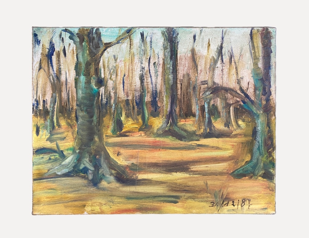Sunlit Forest Clearing Oil Painting