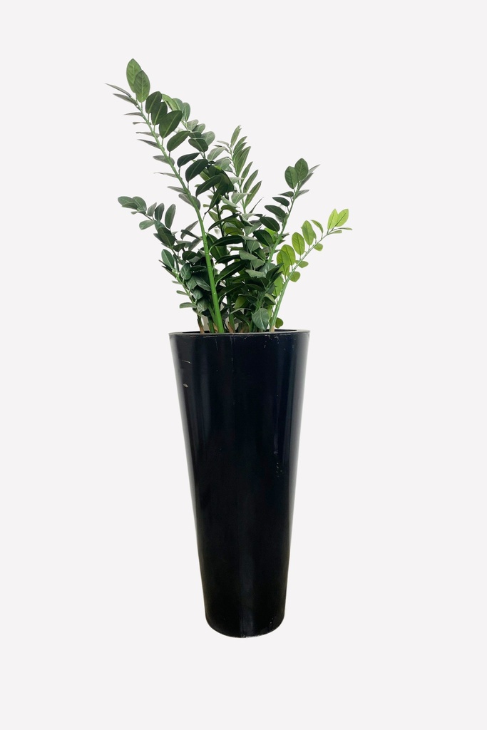Tall Black Glossy Planter with Greenery