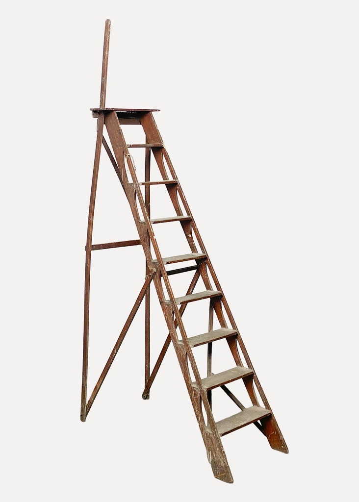 Rustic Wooden Step Ladder with Platform