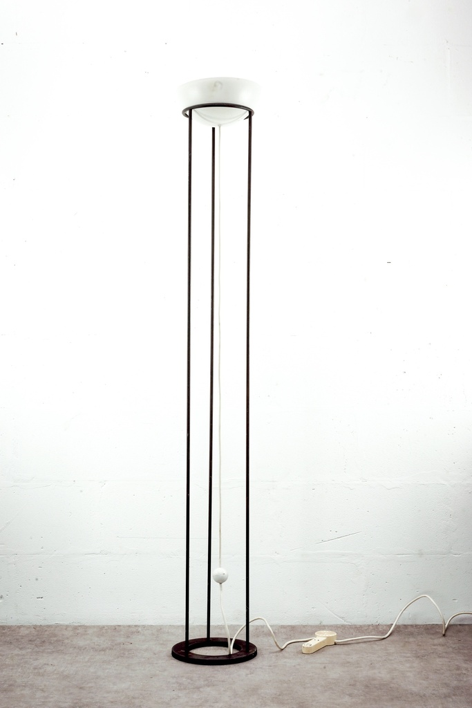 Minimalist Industrial Floor Lamp with Cage Frame Design