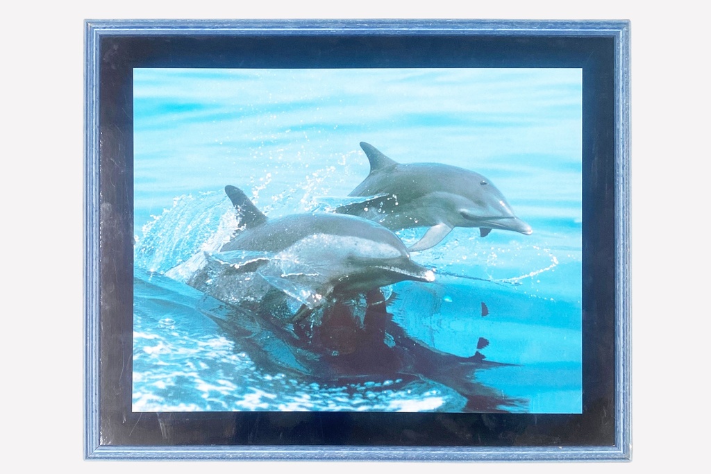 Playful Dolphins in Ocean Waters Wall Art