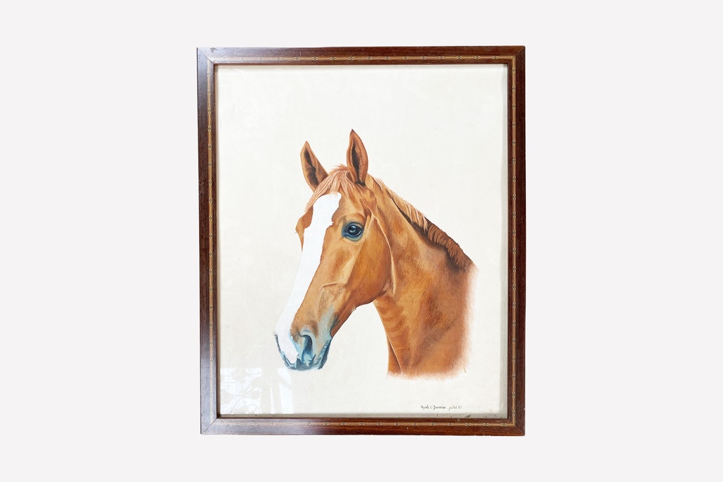Chestnut Horse Profile Portrait in Wooden Frame