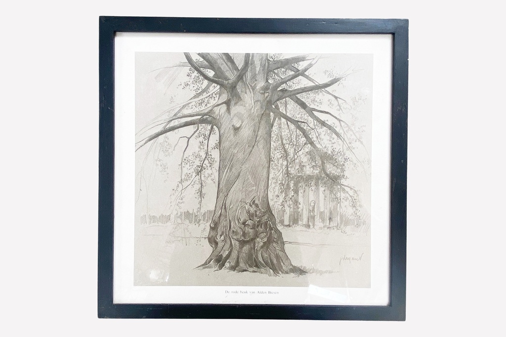 Framed Sketch of a Majestic Tree with Classical Architecture Background