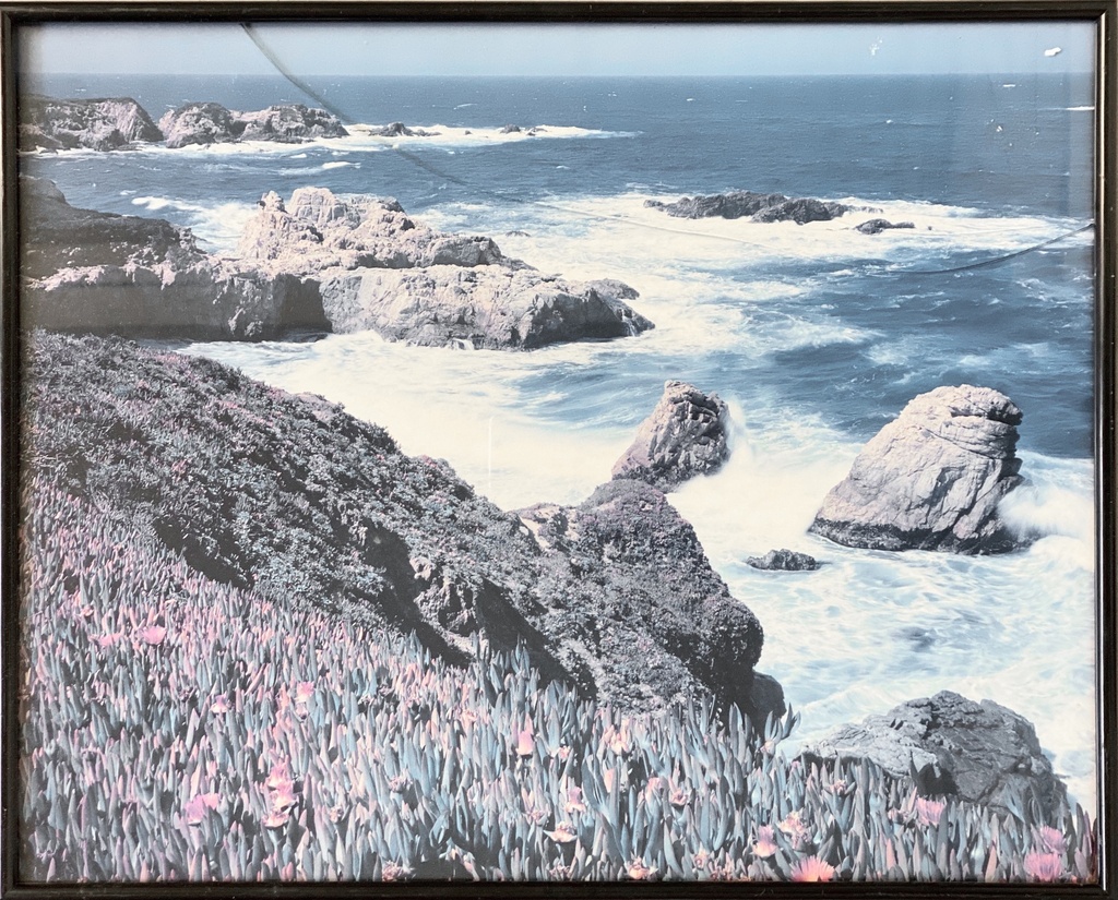 Coastal Bloom With Rugged Waves
