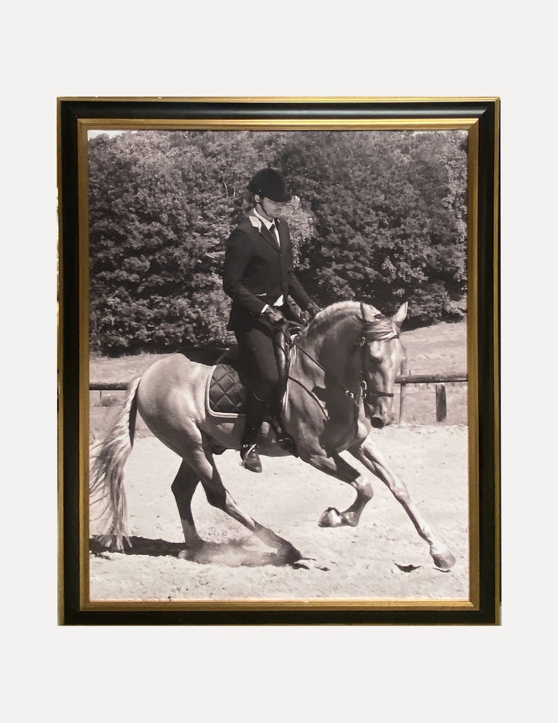 Equestrian Elegance in Motion