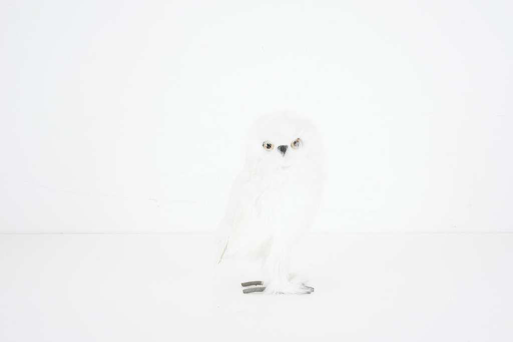 Snowy Owl Figurine on White Background