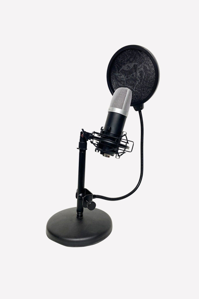 Tabletop Studio Microphone with Pop Filter