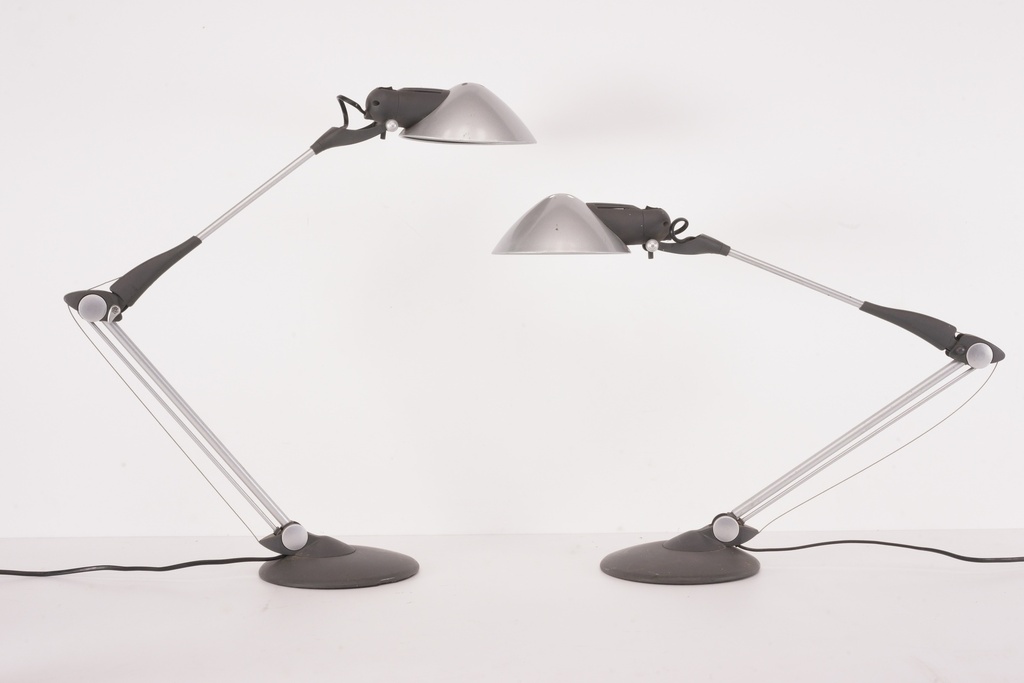 Modern Adjustable Desk Lamps in Symmetrical Pose