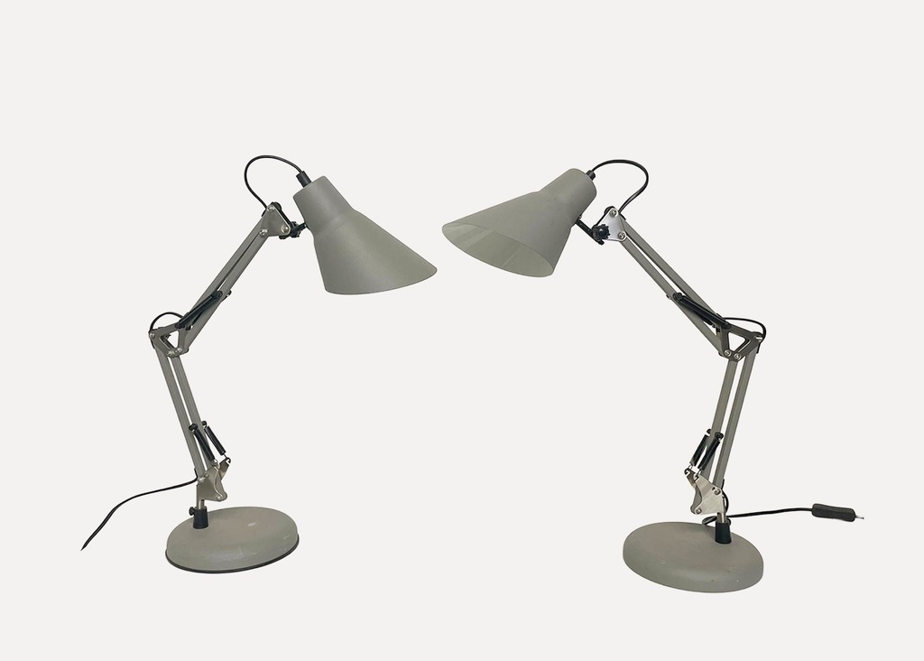 Dual Adjustable Grey Desk Lamps