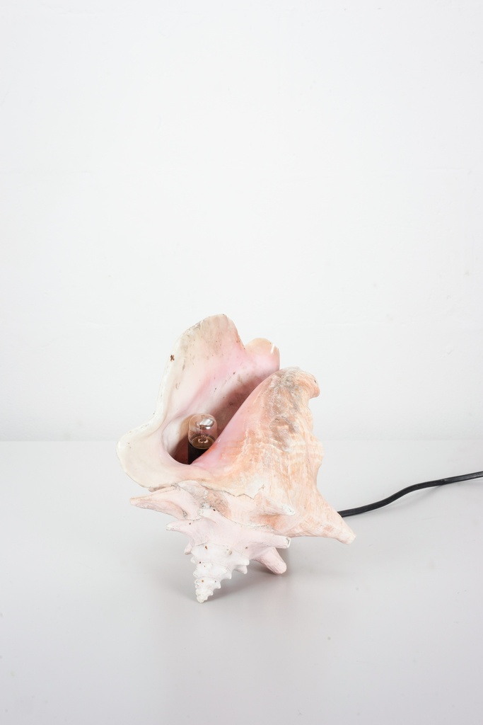 Seashell Accent Lamp