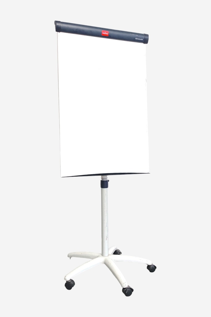 Mobile Flipchart Easel with Whiteboard Surface