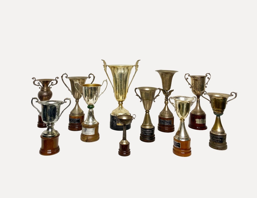 Vintage Trophy Collection