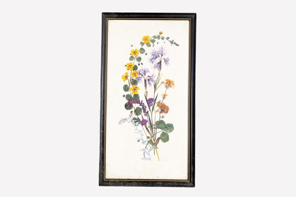 Pressed Wildflower Botanical Art in Black Frame