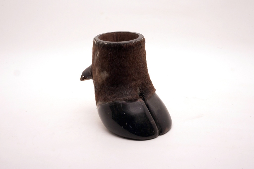 Taxidermy Cow Hoof Cup