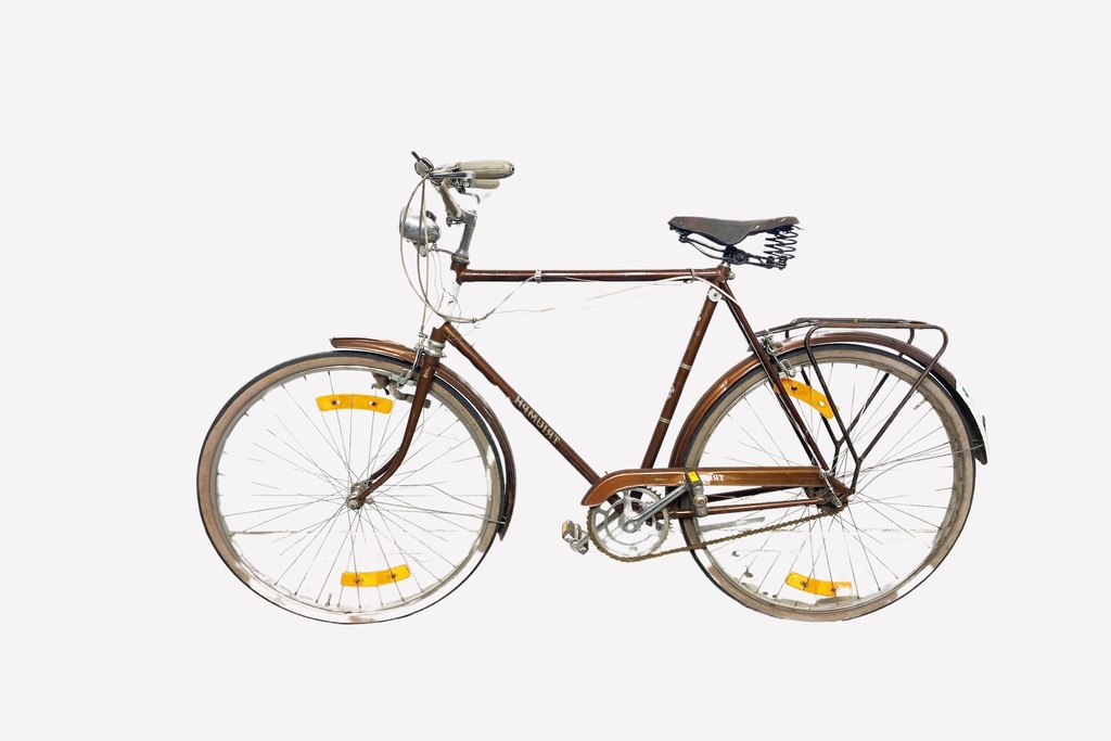 Vintage Brown Commuter Bicycle