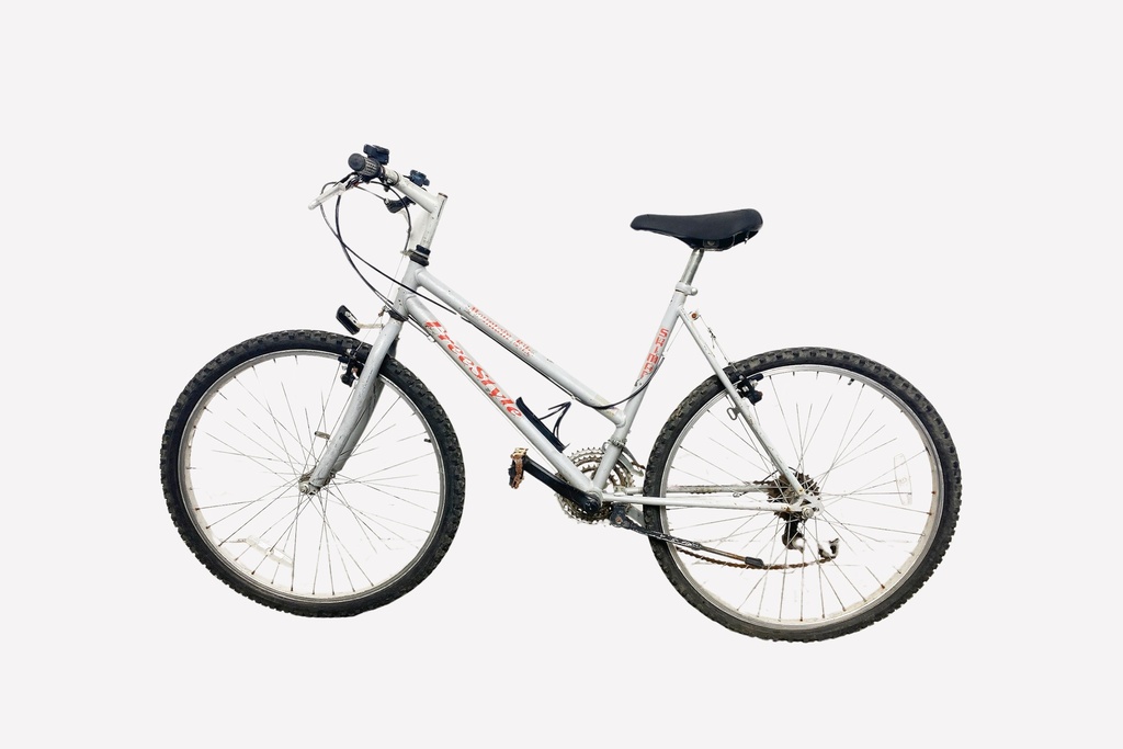 Silver Freestyle Mountain Bike