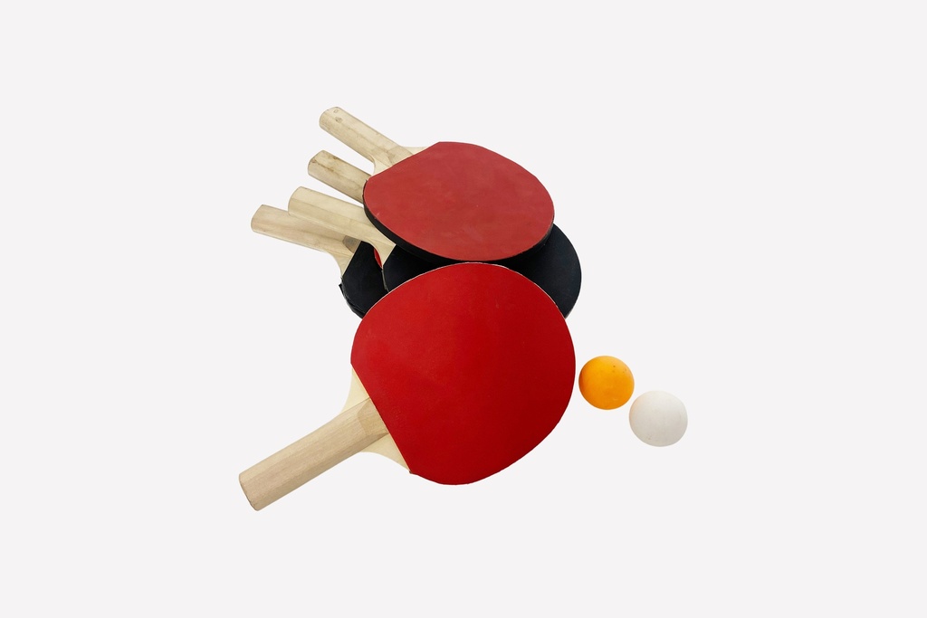Ping Pong Paddle and Ball Set