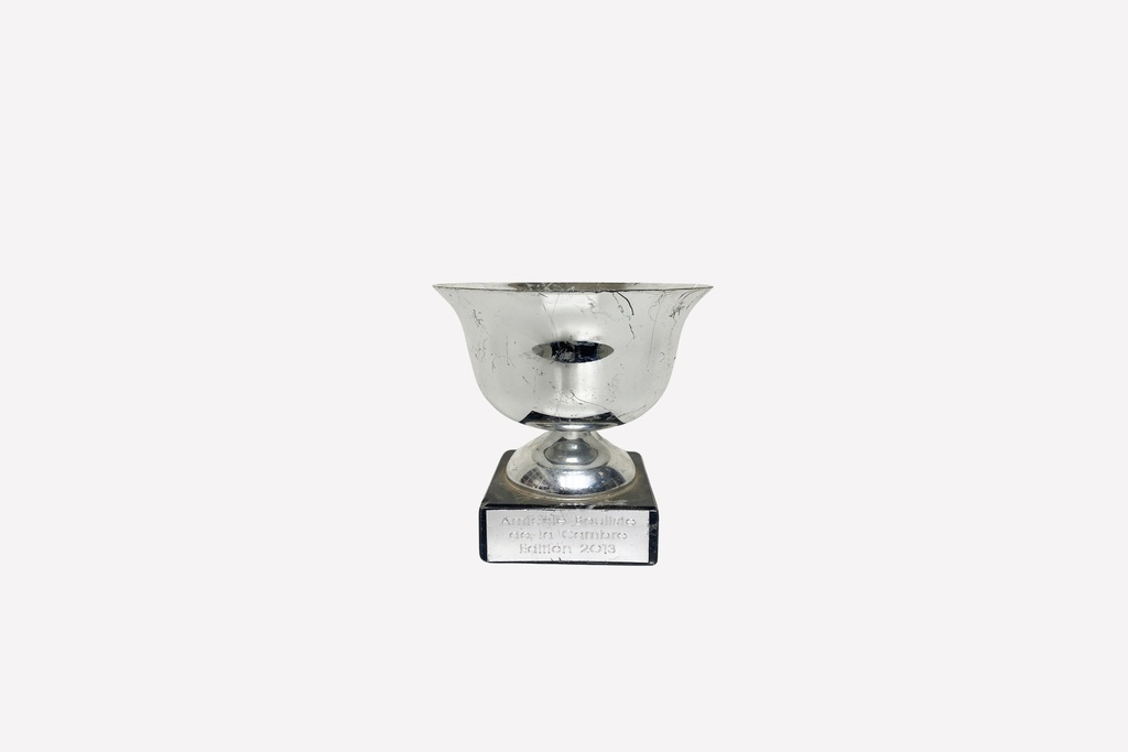 Silver Trophy Cup with Engraved Base