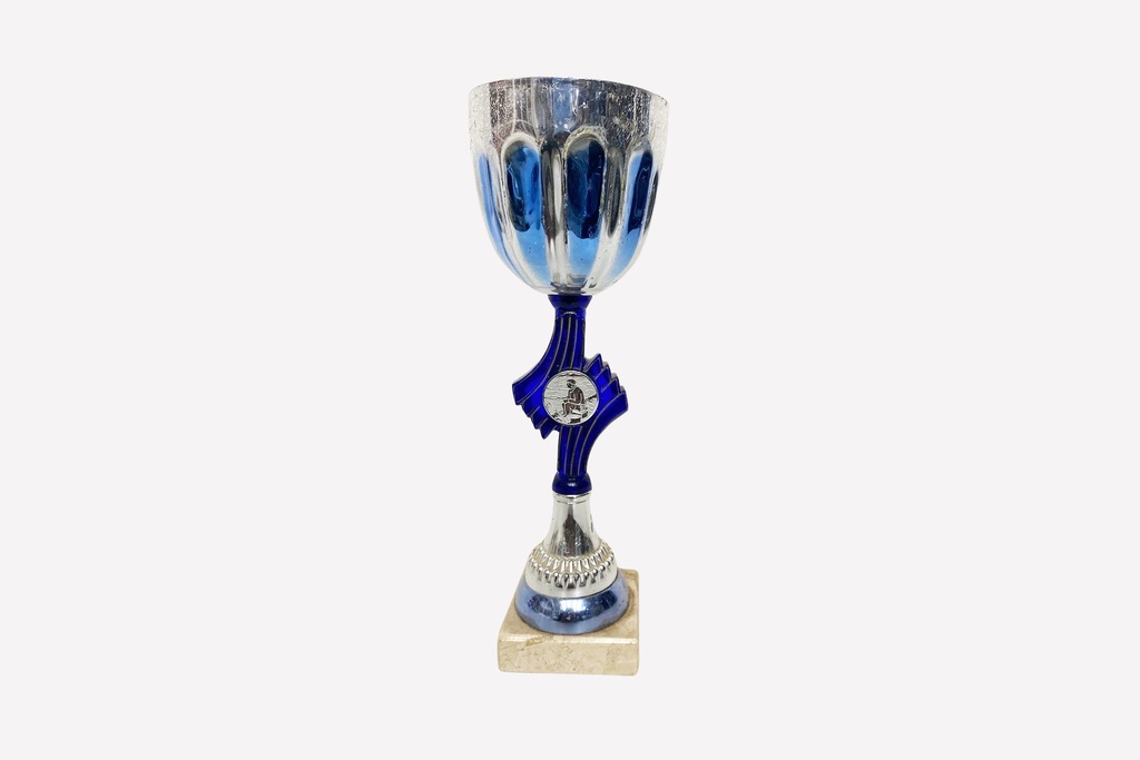 Blue Accented Silver Trophy Cup on Marble Base