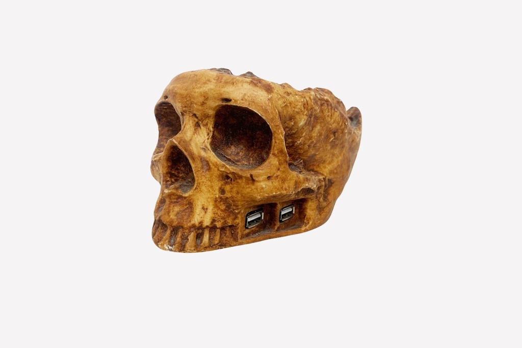 Rustic Skull USB Hub