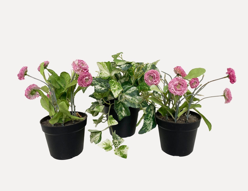 Potted Pink Blooms and Variegated Greenery Set