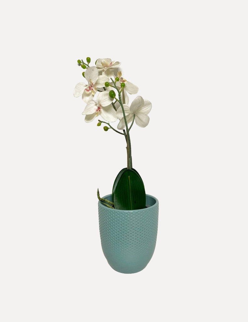 White Orchid in Textured Turquoise Planter