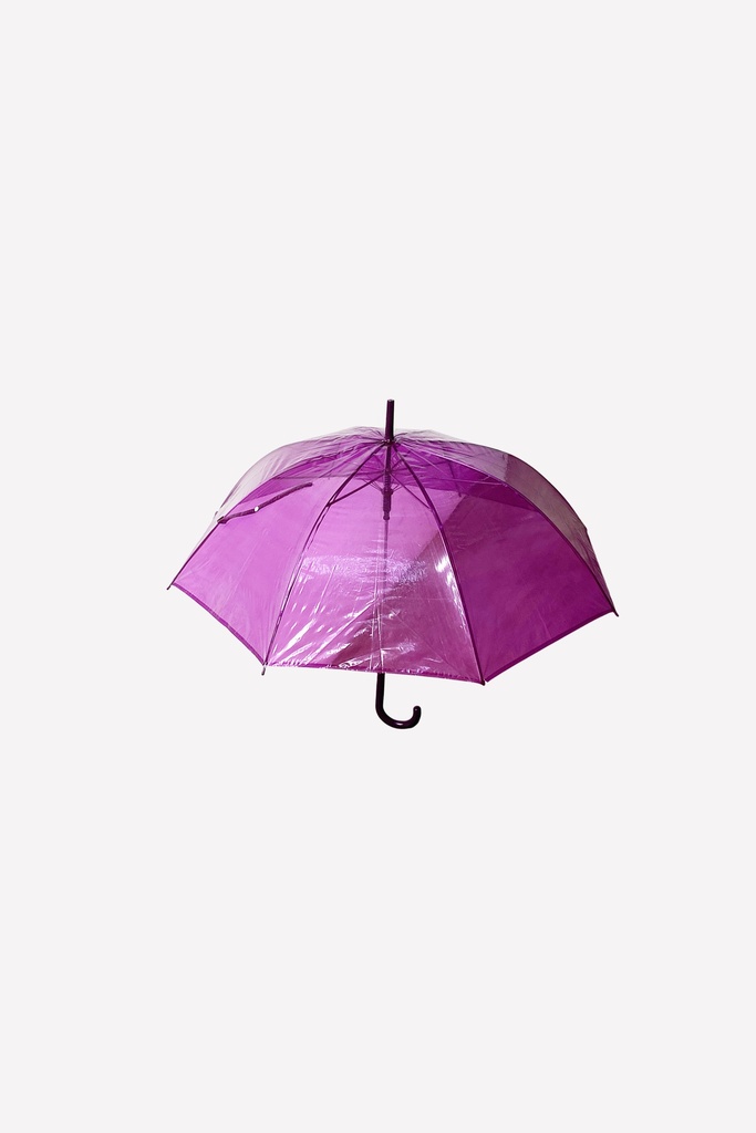 Translucent Purple Umbrella with Hook Handle