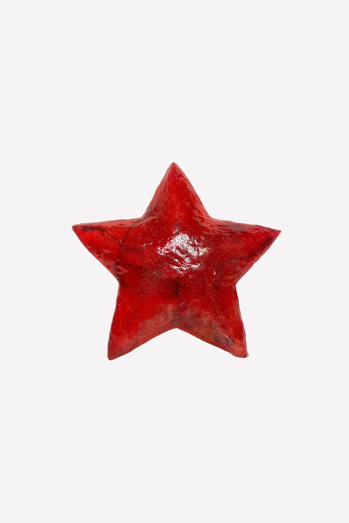 Red Glossy Star Prop