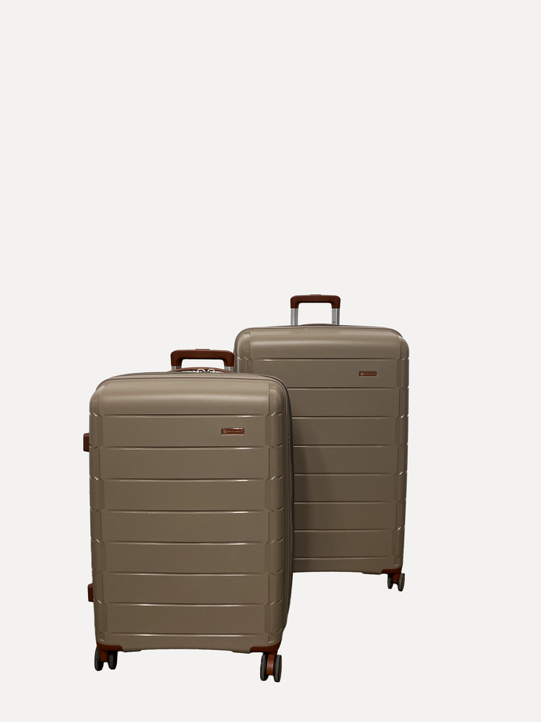 Brwon Duo Suitcase Luggage