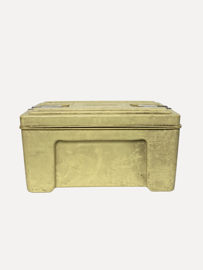 Big Yellow Trunk