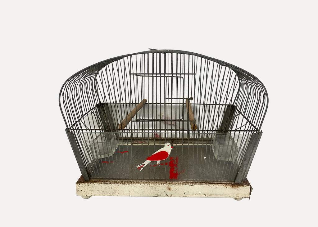 Bird cage