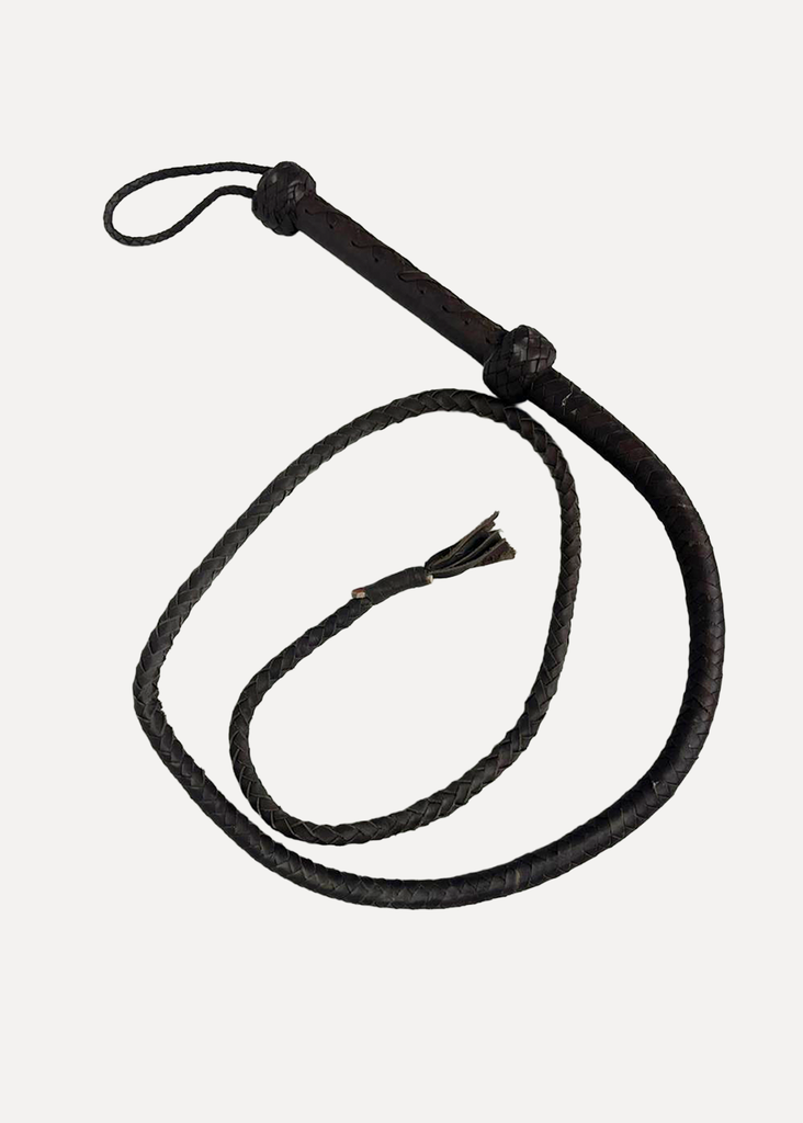 Brown Leather Whip