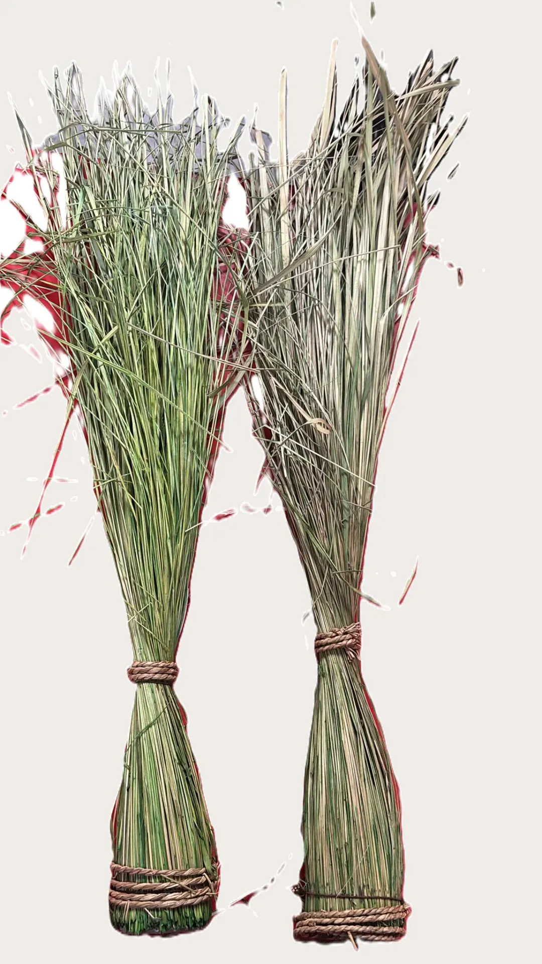 Vase of dried flowers