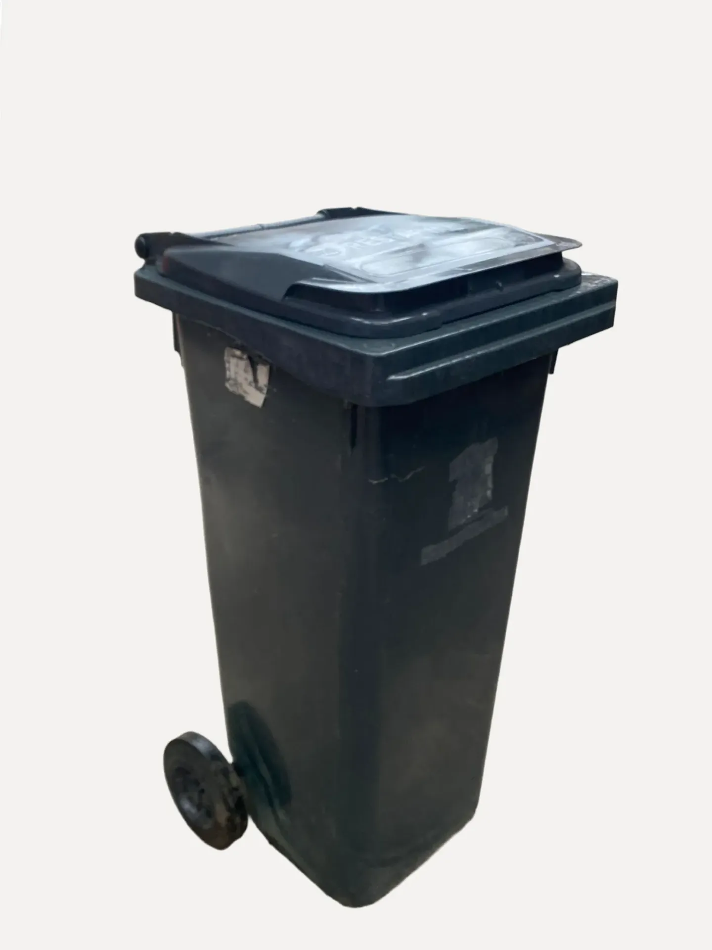 Roll-Out Trash Can