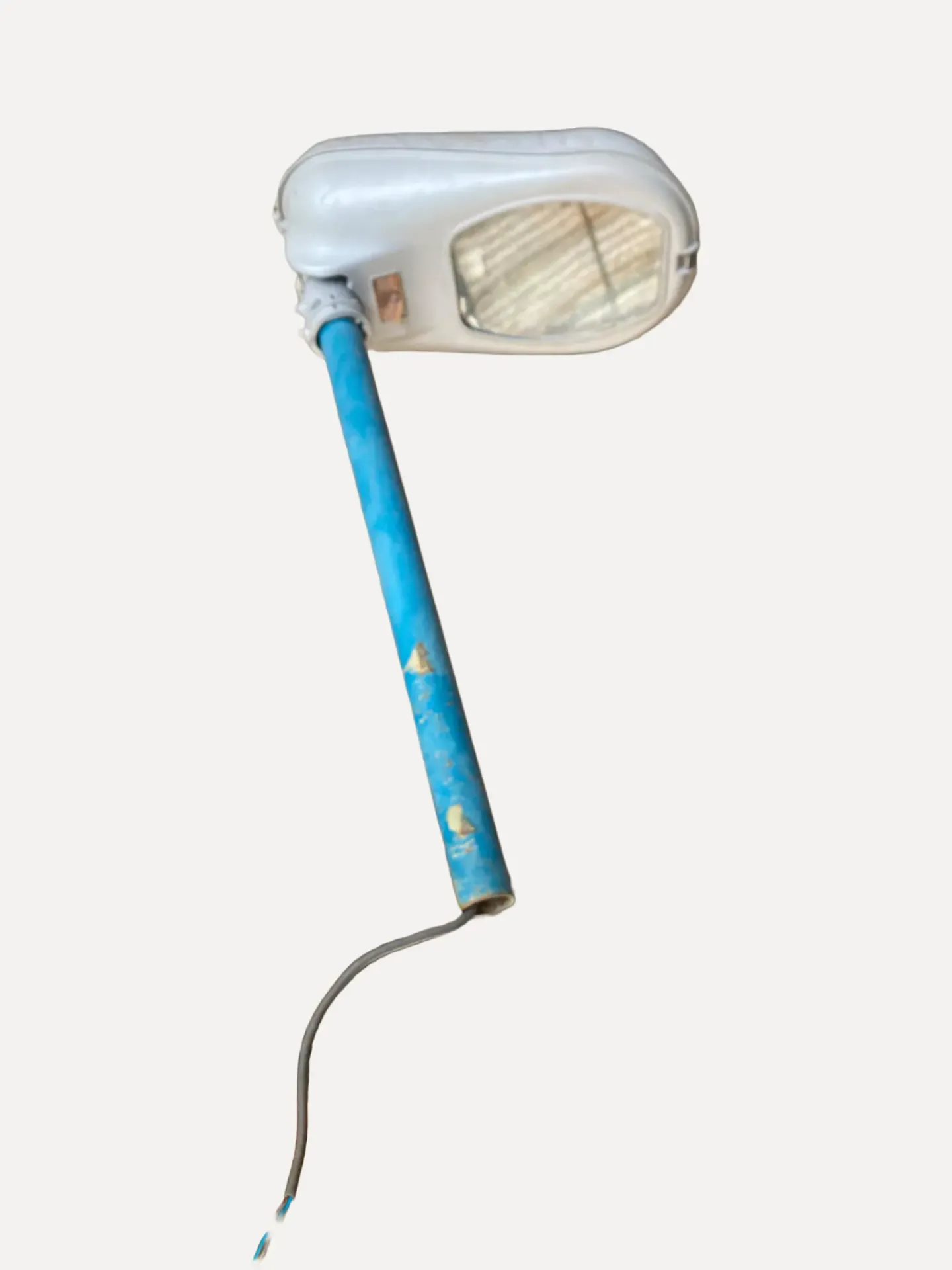 Dolphin-Style Street Light