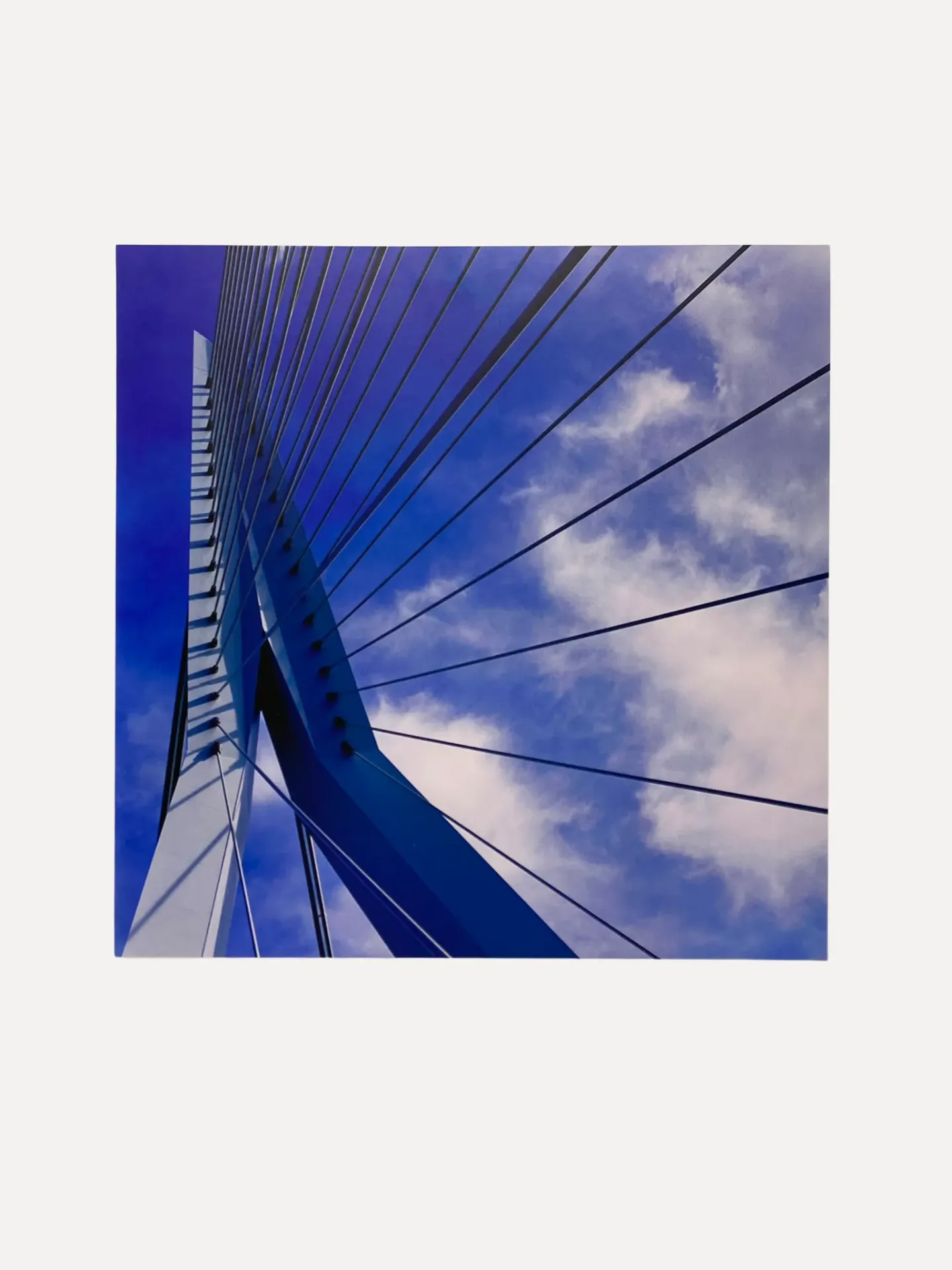 Erasmus Bridge