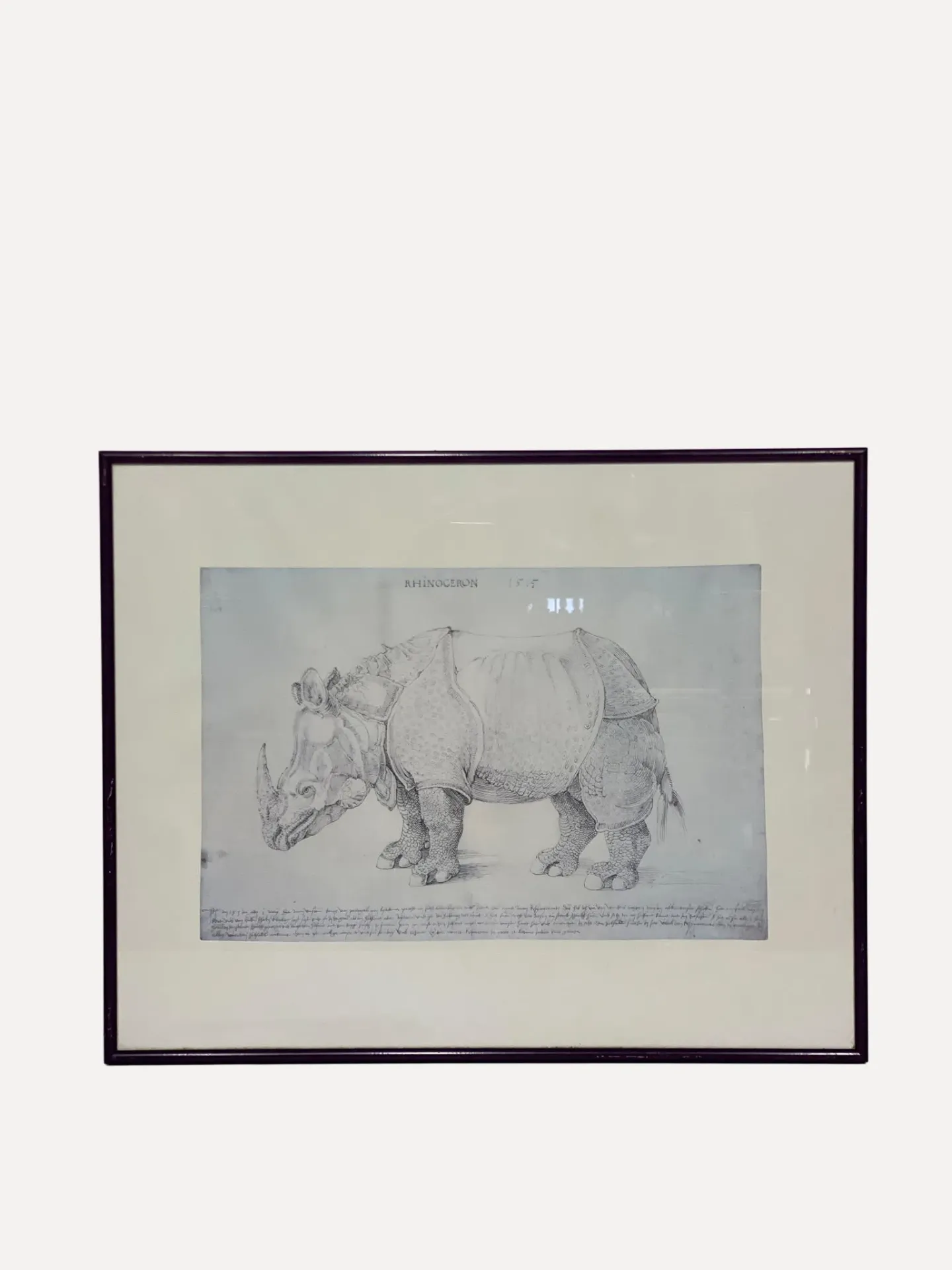 Rhinoceros