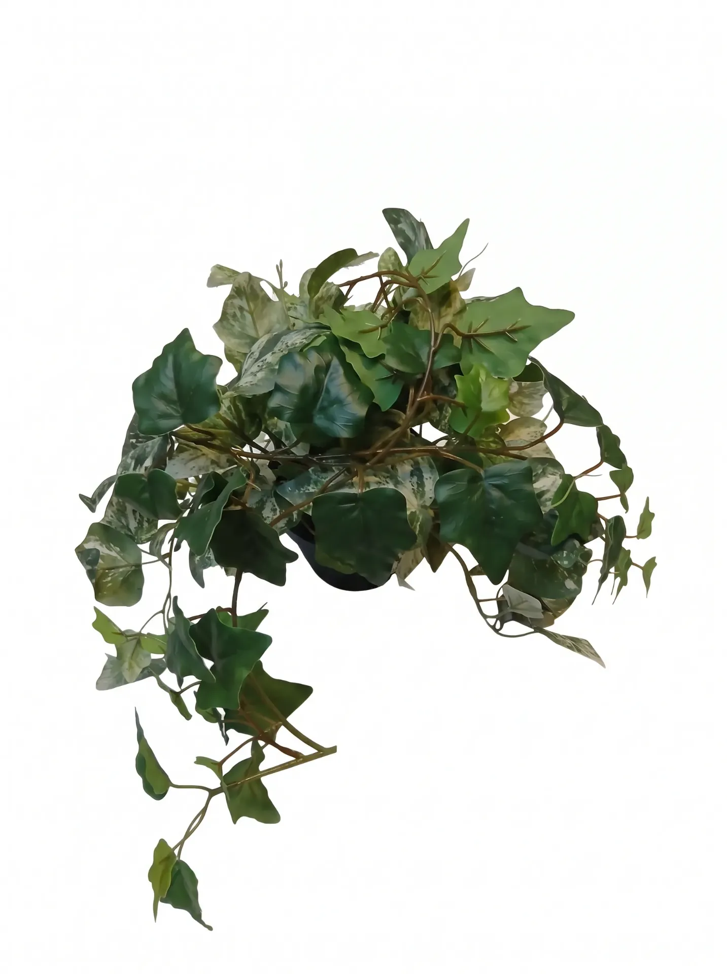 Artificial Ivy