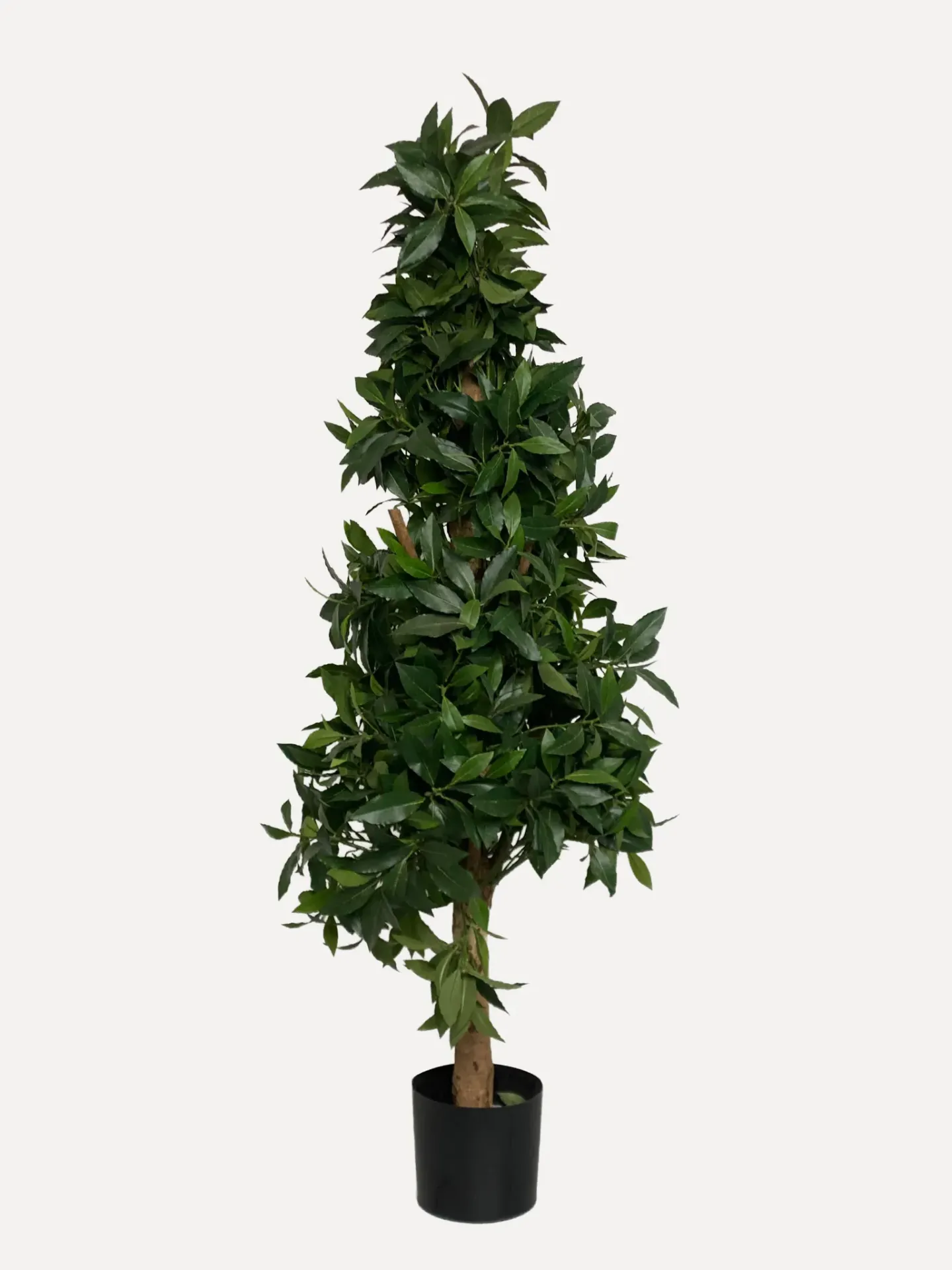 Artificial Bay Leaf Cone Topiary
