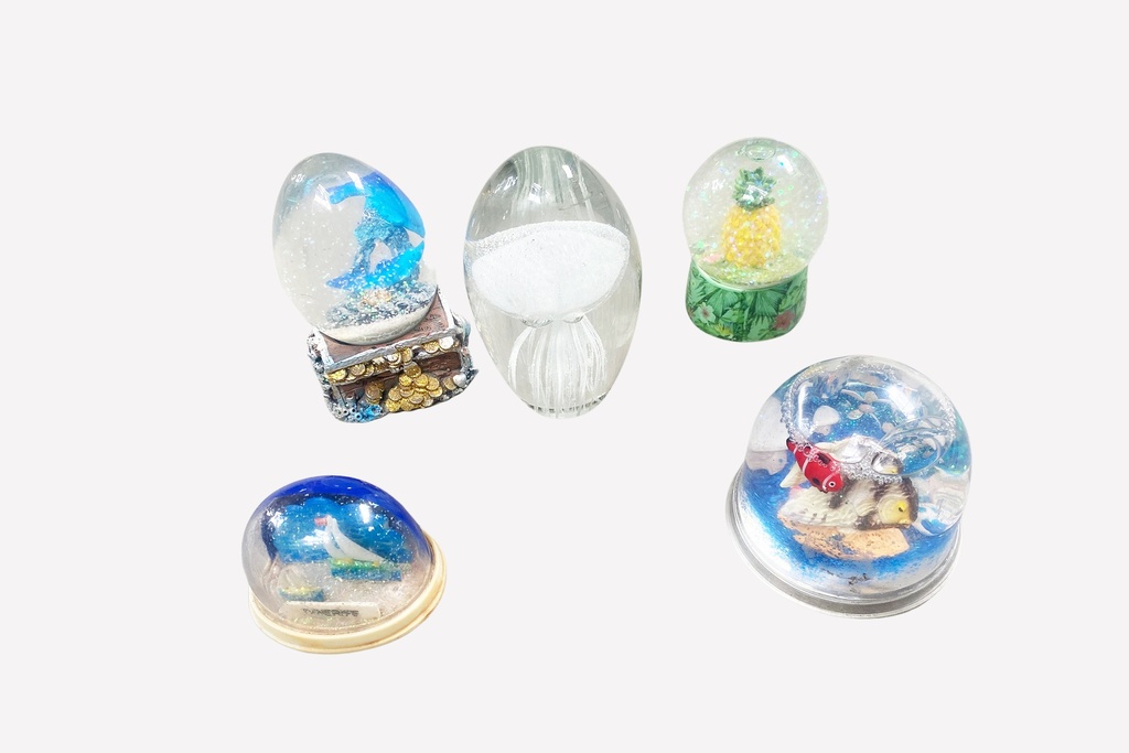 Eclectic Snow Globe Collection