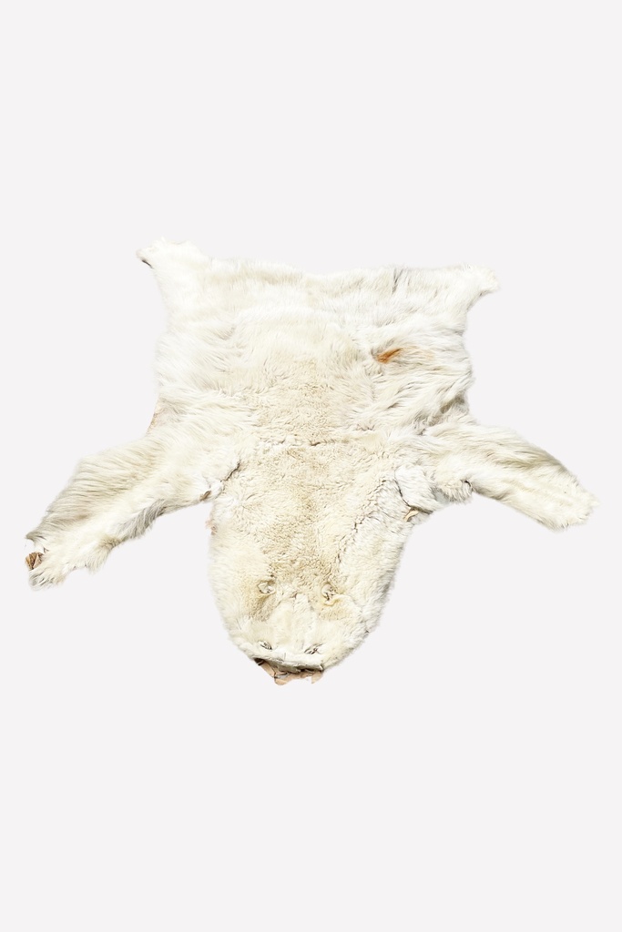 Polar Bear Rug Prop A012