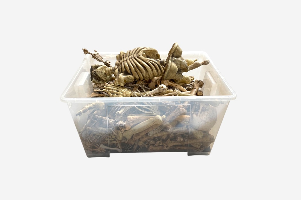 Box of Assorted Skeleton Bones Prop