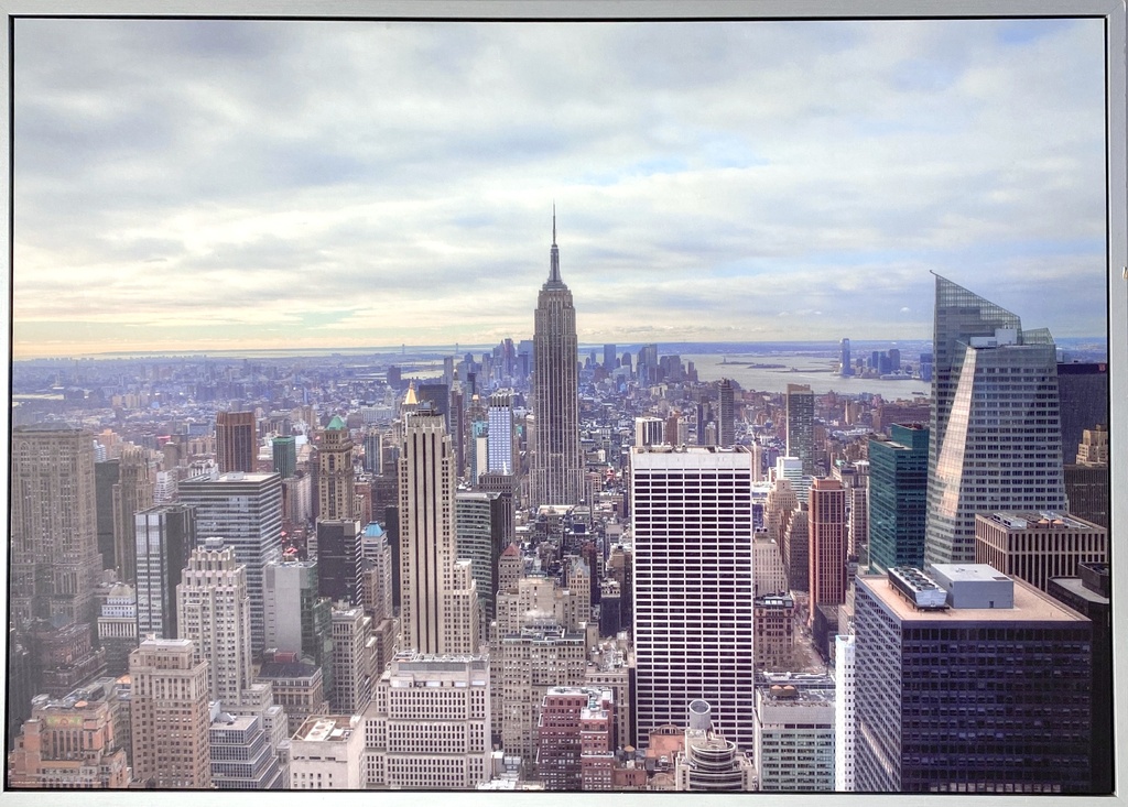 Empire State Skyline Vista