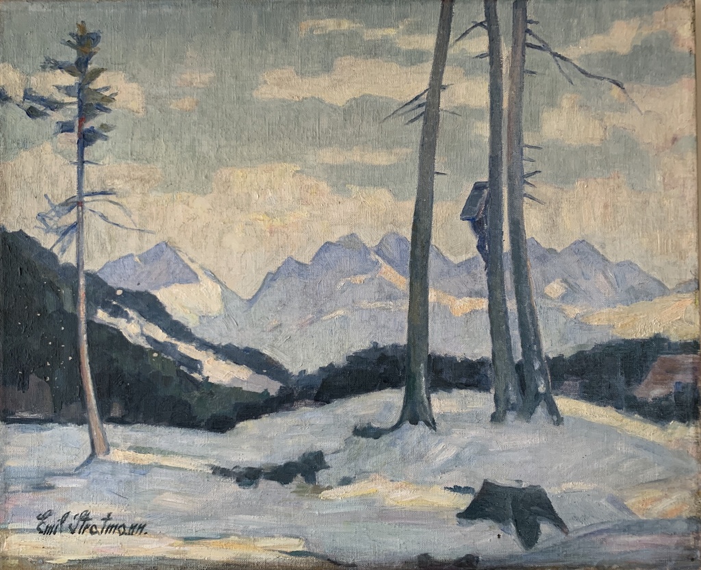 Snowy Alpine Landscape with Pine Trees