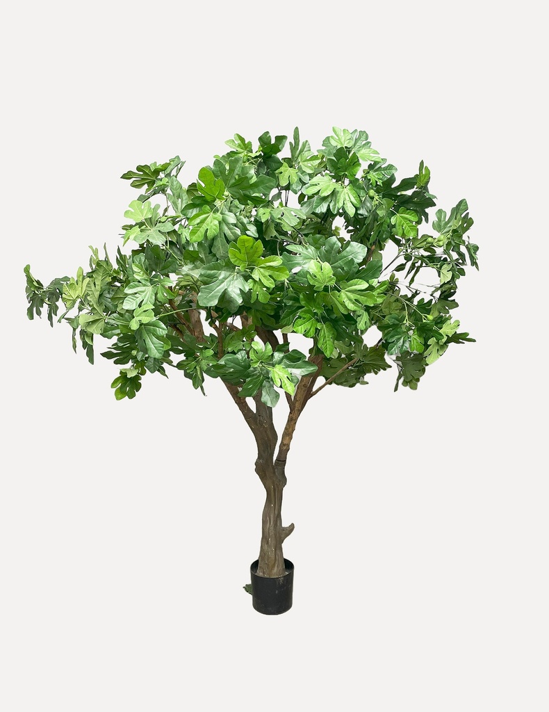 Artificial Ficus Tree in Pot